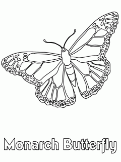 monarch caterpillar drawing at getdrawings com free for personal small