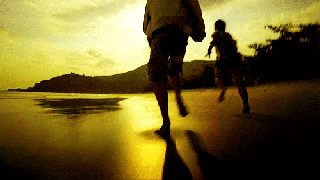beach love gif find share on giphy small