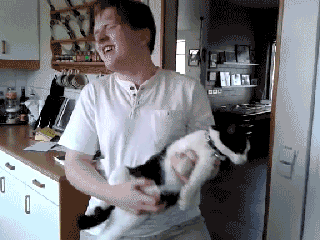 fun man uses cat as guitar small