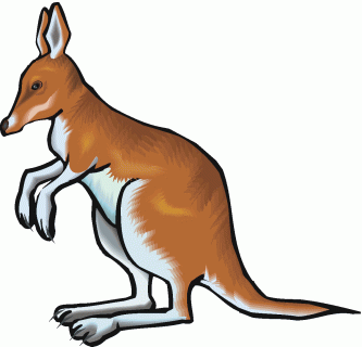 clip art kangaroo with beer clipart small
