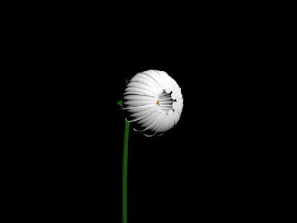 https://cdn.lowgif.com/small/1f9821c6d4ae3b93-flower-3d-model-open-and-close-test-2-by-smault23-gif.gif