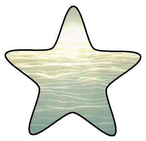 starfish gif gifs with transparent background pinterest small