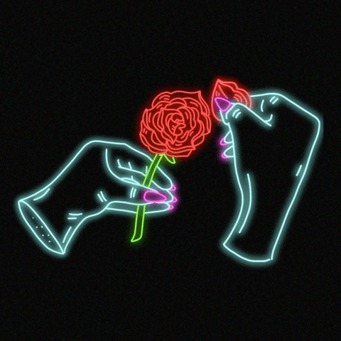 aesthetic gif and rose image neon dream pinterest rose images small