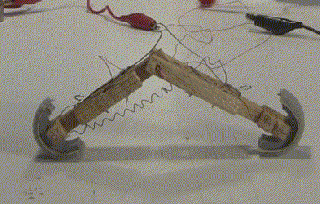 making a nitinol wire inchworm hackaday small