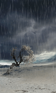 download animated 480x800 lonely tree cell phone small