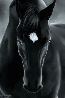 black beauty by anna sewell small