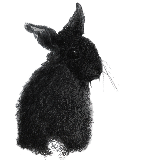 from silver arrows to silver bullets a brief history of wererabbits small