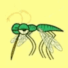 mosquito gifs tenor small