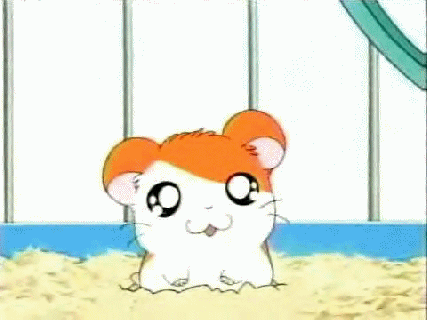 animals adorable anime pics small