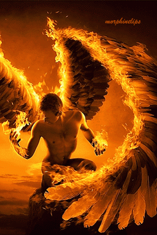 https://cdn.lowgif.com/small/270d8dd8e59e05ed-wolfdancer-the-archangel-of-fire-is-michael-pinterest-angel.gif