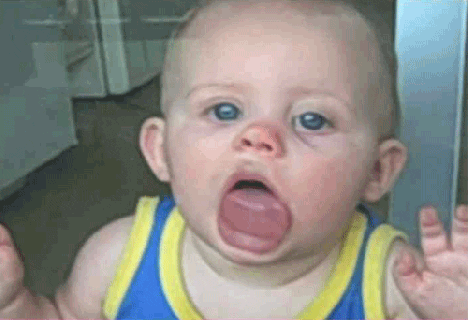 baby licking gif by america s funniest home videos find share on small