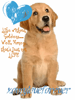 https://cdn.lowgif.com/small/2c24a64008015dba-golden-retriever-graphics-and-comments.gif