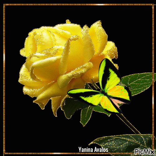 yellow rose rose animation pinterest rose small