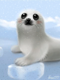 https://cdn.lowgif.com/small/2c3deb41d9ff83cc-cute-little-seal-whimsical-4-pinterest-gifs-and-animal.gif