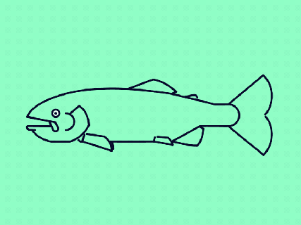 trout swimming by james hazael dribbble small