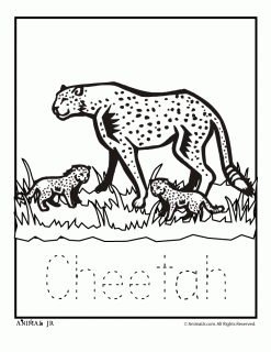 https://cdn.lowgif.com/small/313cc393231c78f4-zoo-animal-coloring-pages-with-letter-writing-practice.gif