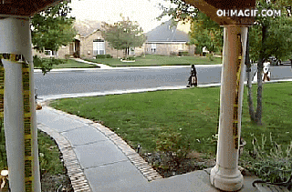 funny prank gif on gifer by zubei small