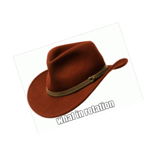 new party member tags memes hat rotation what in tarnation hat small