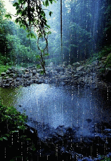 https://cdn.lowgif.com/small/32cba991c4fbcb9b-beautiful-forest-scene-with-rain-falling-over-the-water-art-flow-of-water-lilies-pinterest.gif
