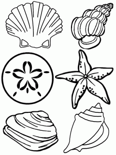 https://cdn.lowgif.com/small/32e1d5408e8491f3-scallop-shell-drawing-at-getdrawings-com-free-for-personal-use.gif