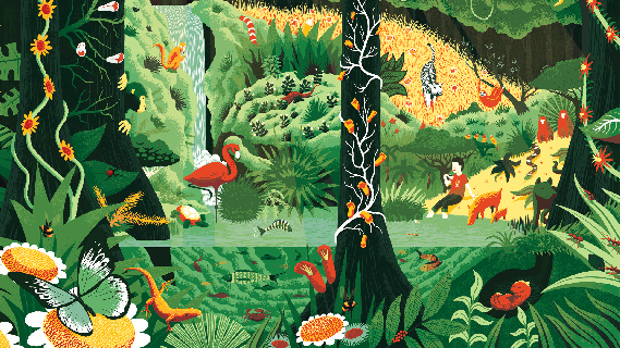 lang ra kaffebrenneri mural sam brewster rainforest animals gif small