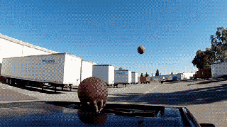 bball gif find share on giphy small