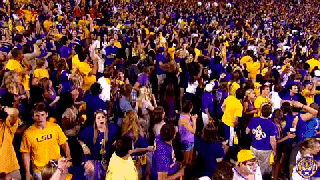 lsu gifs get the best gif on giphy small