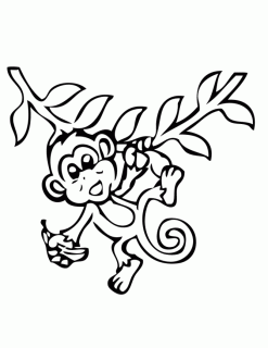 free monkey images download free clip art free clip art on clipart small