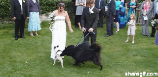 20 of the most epic wedding fails wedded wonderland small