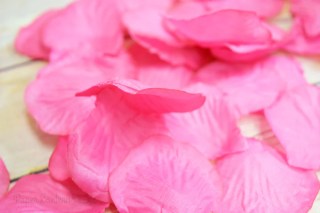 2rps rp silk rose petals fuchsia hot pink cs 24 united small