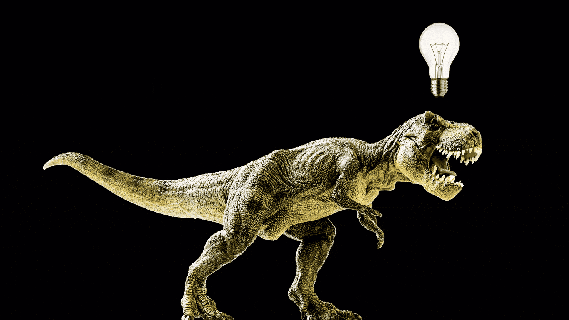 the daily beast t rex was smarter than we thought small