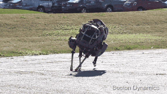 terrifying wildcat military robot can hunt down any human in 9 seconds small