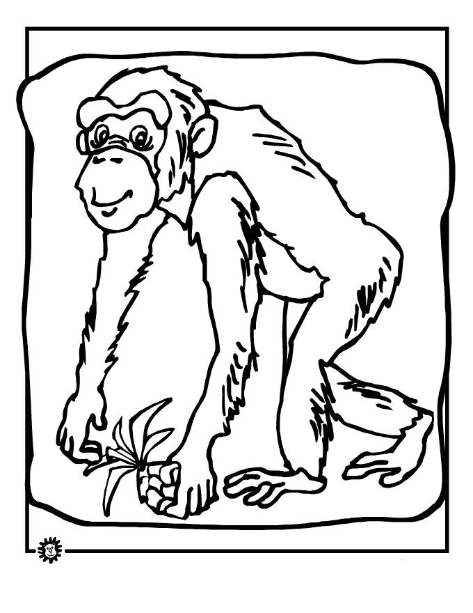 chimpanzee coloring pages to kids small