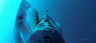 attack shark gif find share on giphy small