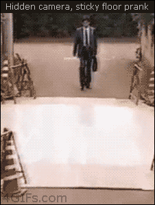 funny pranks gifs get the best gif on giphy small