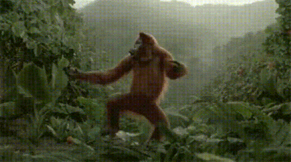 dance monkey gif find share on giphy small