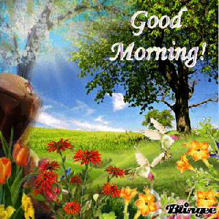 good morning animated picture codes and downloads 129999858 small
