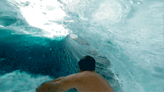 summer surf gifs on giphy small
