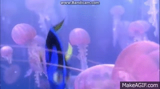 finding nemo jellyfish scene dvdrip on make a gif small