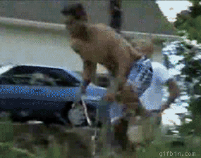 bmx ramp jump fail best funny gifs updated daily small