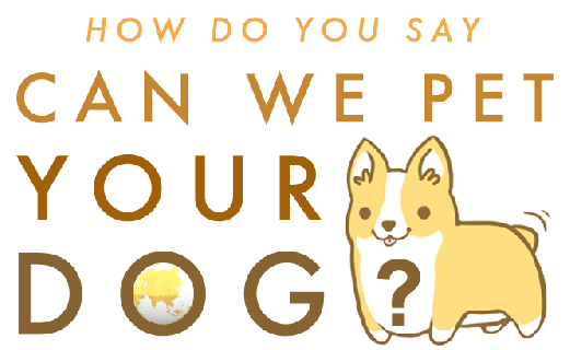 food we love can we pet your dog small
