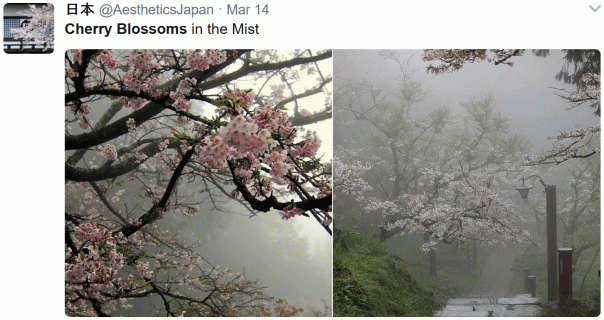 april showers come early world meteorological organization small