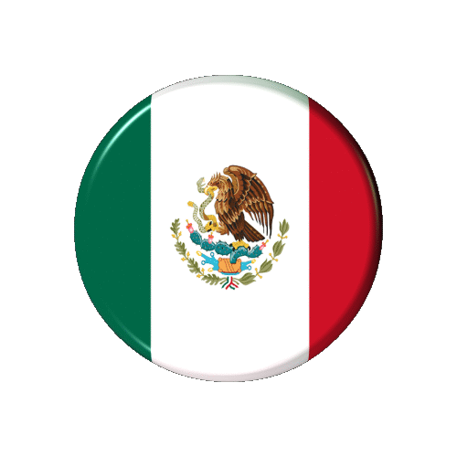 mexico flag pictures small