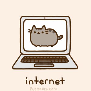 cat internet bounce gif find on gifer small
