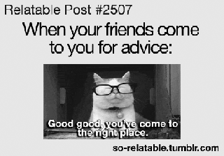 https://cdn.lowgif.com/small/4e03ea1746875d5b-so-relatable-quotes-about-best-friends-quotesgram-cat-friendship.gif