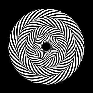 https://cdn.lowgif.com/small/4e80c7a9cf9fddd6-des-gif-noir-et-blancs-hypnotiques-2-illusions-op-art.gif