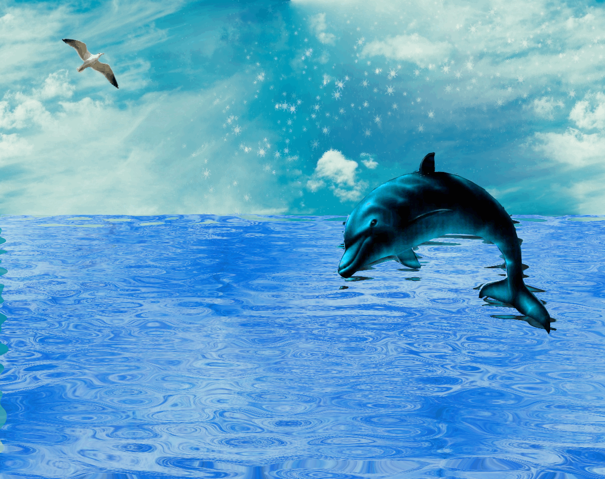 https://cdn.lowgif.com/small/4f7943eae7ebcfe9-dolphin-jumping-over-shimmering-sea-blue-ocean-water-animated-sea.gif