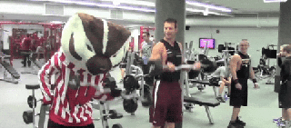 uwmadison gif find share on giphy small