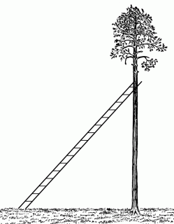 ladder leaning against a tree clipart etc small