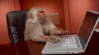 office monkey gifs get the best gif on giphy small